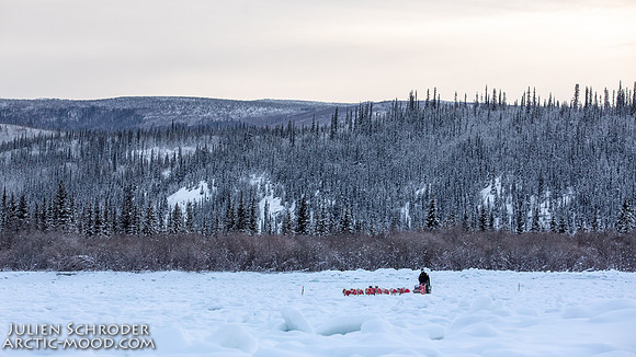 McCabe-YukonQuest2019-JSchroder_20190203_D4_2783