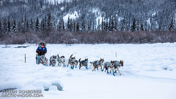 McCabe-YukonQuest2019-JSchroder_20190203_D4_2772