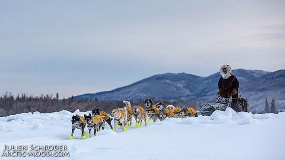 McCabe-YukonQuest2019-JSchroder_20190203_D4_2828