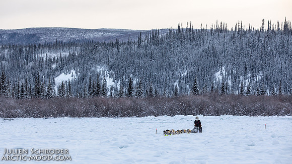 McCabe-YukonQuest2019-JSchroder_20190203_D4_2819