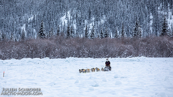 McCabe-YukonQuest2019-JSchroder_20190203_D4_2813