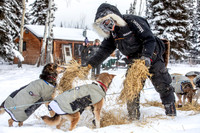 McCabe-YukonQuest2019-JSchroder_20190203_D4_2701