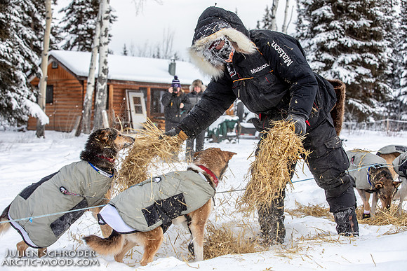 McCabe-YukonQuest2019-JSchroder_20190203_D4_2701