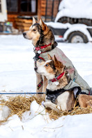 McCabe-YukonQuest2019-JSchroder_20190203_D4_2710