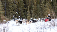 central-YukonQuest2019-JSchroder_20190212_D4_8875