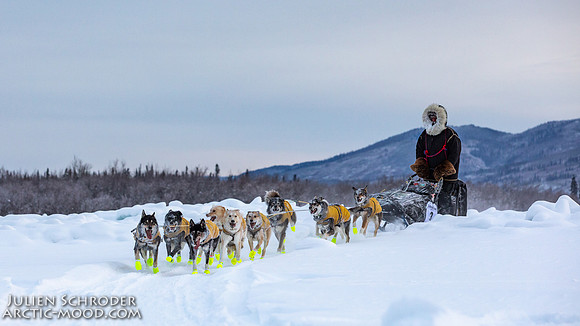 McCabe-YukonQuest2019-JSchroder_20190203_D4_2829