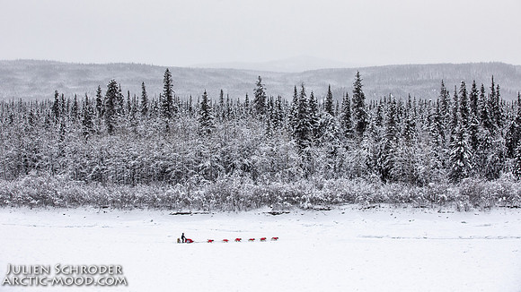 PellyCrossing-YukonQuest2019-JSchroder_20190204_D4_3265