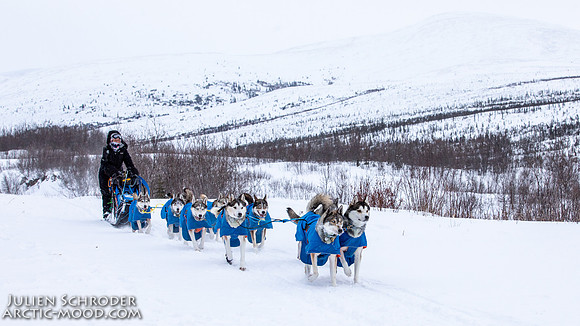 mile101-YukonQuest2019-JSchroder_20190213_D4_9311