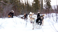 central-YukonQuest2019-JSchroder_20190212_D4_8902