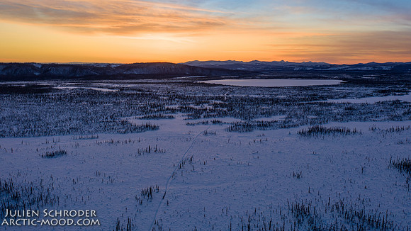 Circle-YukonQuest2019-JSchroder_20190209DJI_0711-HDR