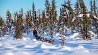 Circle-YukonQuest2019-JSchroder_20190209_D4_8187