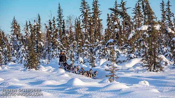 Circle-YukonQuest2019-JSchroder_20190209_D4_8187