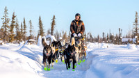 Circle-YukonQuest2019-JSchroder_20190209_D4_8136