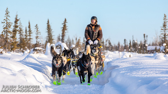 Circle-YukonQuest2019-JSchroder_20190209_D4_8136