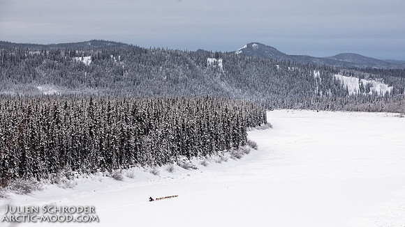 PellyCrossing-YukonQuest2019-JSchroder_20190204_D4_3124