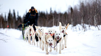 central-YukonQuest2019-JSchroder_20190213_D4_9085