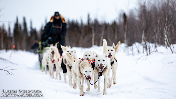 central-YukonQuest2019-JSchroder_20190213_D4_9085