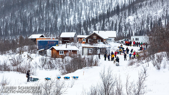 mile101-YukonQuest2019-JSchroder_20190213_D4_9519