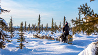 Circle-YukonQuest2019-JSchroder_20190209_D4_8165