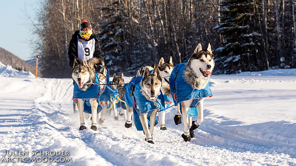 TwoRivers-YukonQuest2019-JSchroder_20190214_D4_9806
