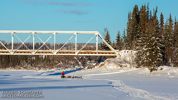 Circle-YukonQuest2019-JSchroder_20190210_D4_8459