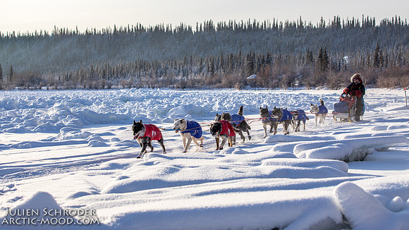 Carmacks-YukonQuest2019-JSchroder_20190203_D4_2550