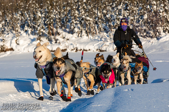 Circle-YukonQuest2019-JSchroder_20190210_D4_8513