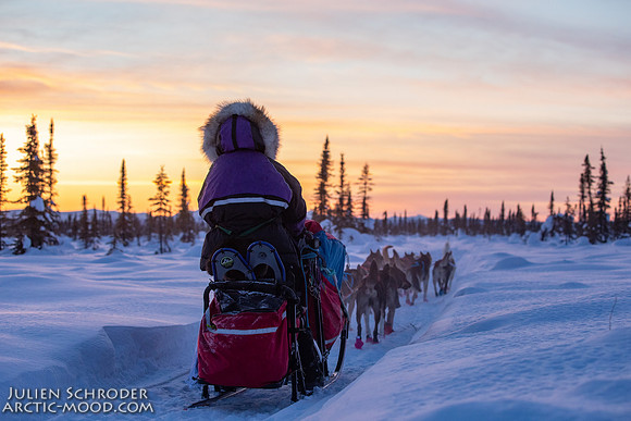 Circle-YukonQuest2019-JSchroder_20190209_D4_8352