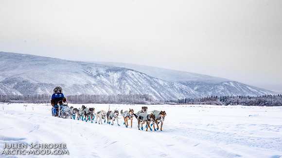 Dawson-YukonQuest2019-JSchroder_20190205_D4_4434