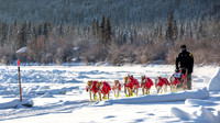 Carmacks-YukonQuest2019-JSchroder_20190203_D4_2584