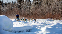Carmacks-YukonQuest2019-JSchroder_20190203_D4_2609