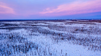 Circle-YukonQuest2019-JSchroder_20190209DJI_0694-HDR