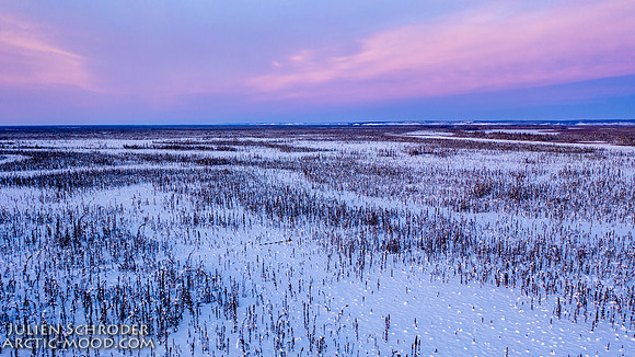 Circle-YukonQuest2019-JSchroder_20190209DJI_0694-HDR