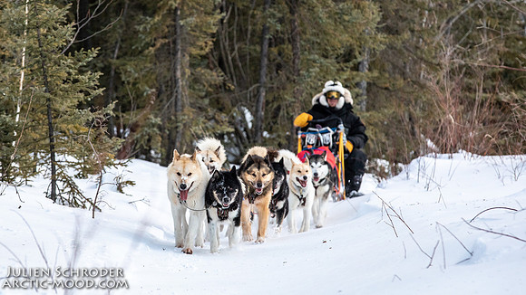 central-YukonQuest2019-JSchroder_20190212_D4_8850