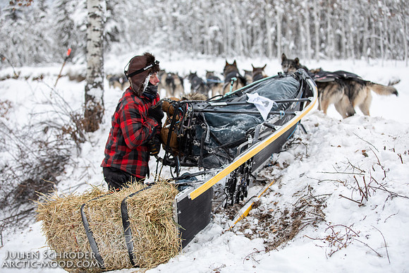 PellyCrossing-YukonQuest2019-JSchroder_20190204_D4_3196