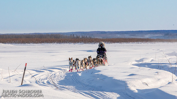 Circle-YukonQuest2019-JSchroder_20190209_D4_8010
