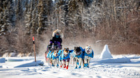 Carmacks-YukonQuest2019-JSchroder_20190203_D4_2624