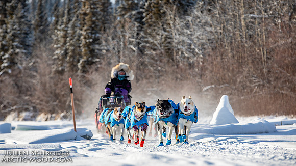 Carmacks-YukonQuest2019-JSchroder_20190203_D4_2624