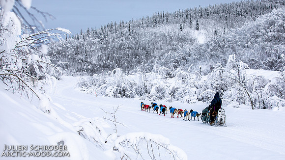 untitled-YukonQuest2019-JSchroder_20190206_D4_5303