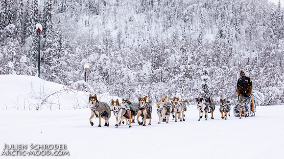 Dawson-YukonQuest2019-JSchroder_20190205_D4_4392