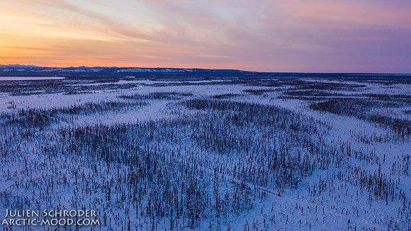 Circle-YukonQuest2019-JSchroder_20190209DJI_0703-HDR
