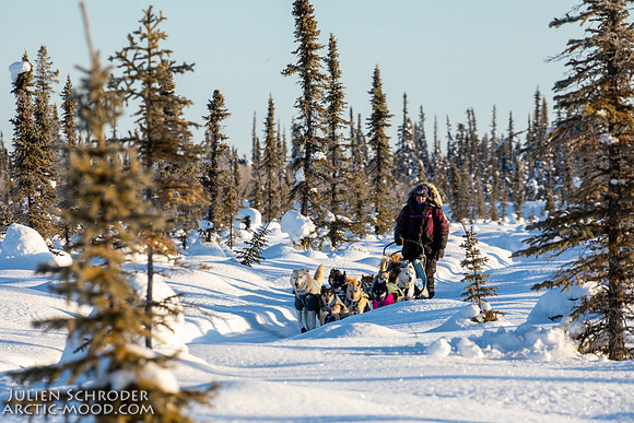 Circle-YukonQuest2019-JSchroder_20190210_D4_8413