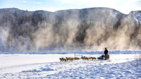 Carmacks-YukonQuest2019-JSchroder_20190203_D4_2639