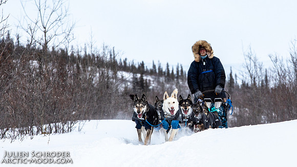 mile101-YukonQuest2019-JSchroder_20190213_D4_9495
