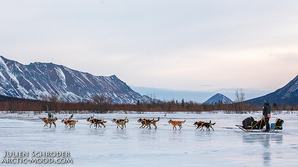 Rohn-Iditarod2019-JSchroder_20190304_D4_4121