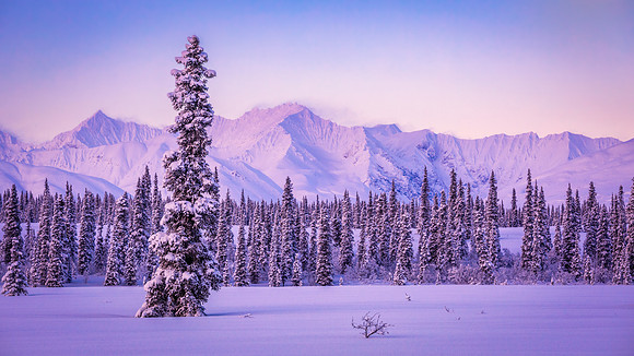 _D4_6378-Edit-Edit