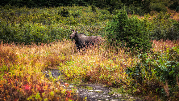 untitled-4273-Edit