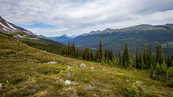 20130717-IMG_0439