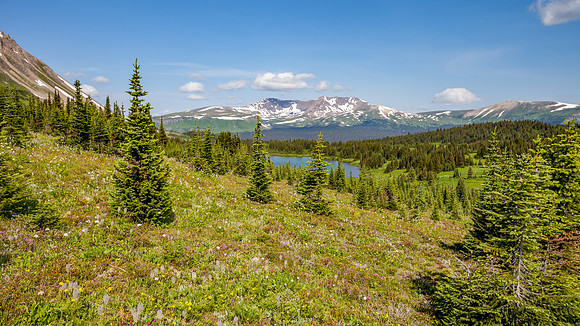 20130718-IMG_0479