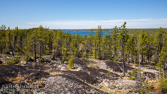 20200621_D4_9680